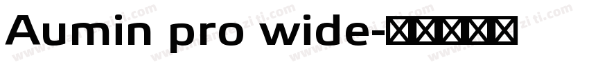 Aumin pro wide字体转换